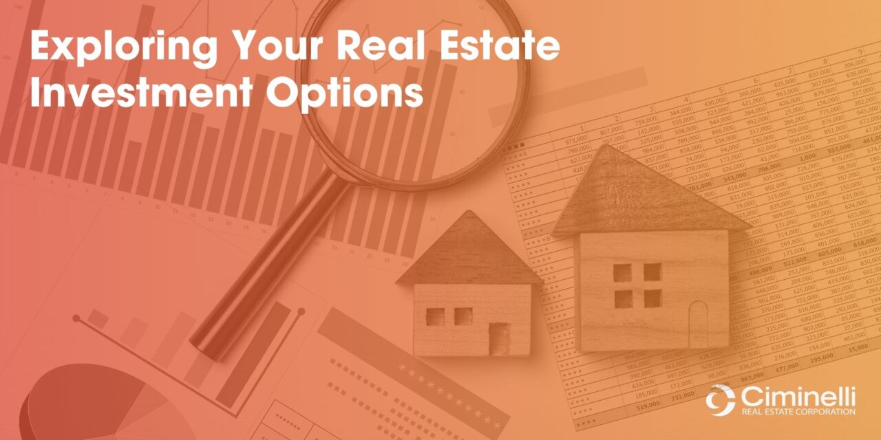 Exploring Your Real Estate Investment Options Ciminelli Real Estate