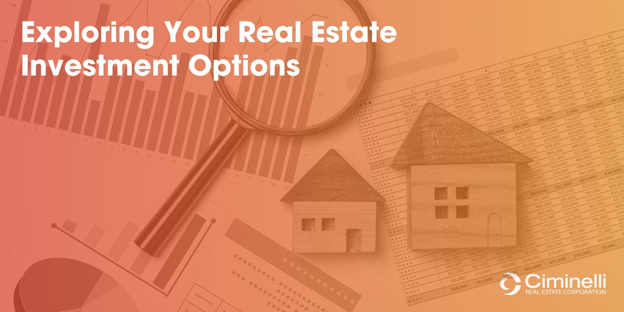Exploring Your Real Estate Investment Options