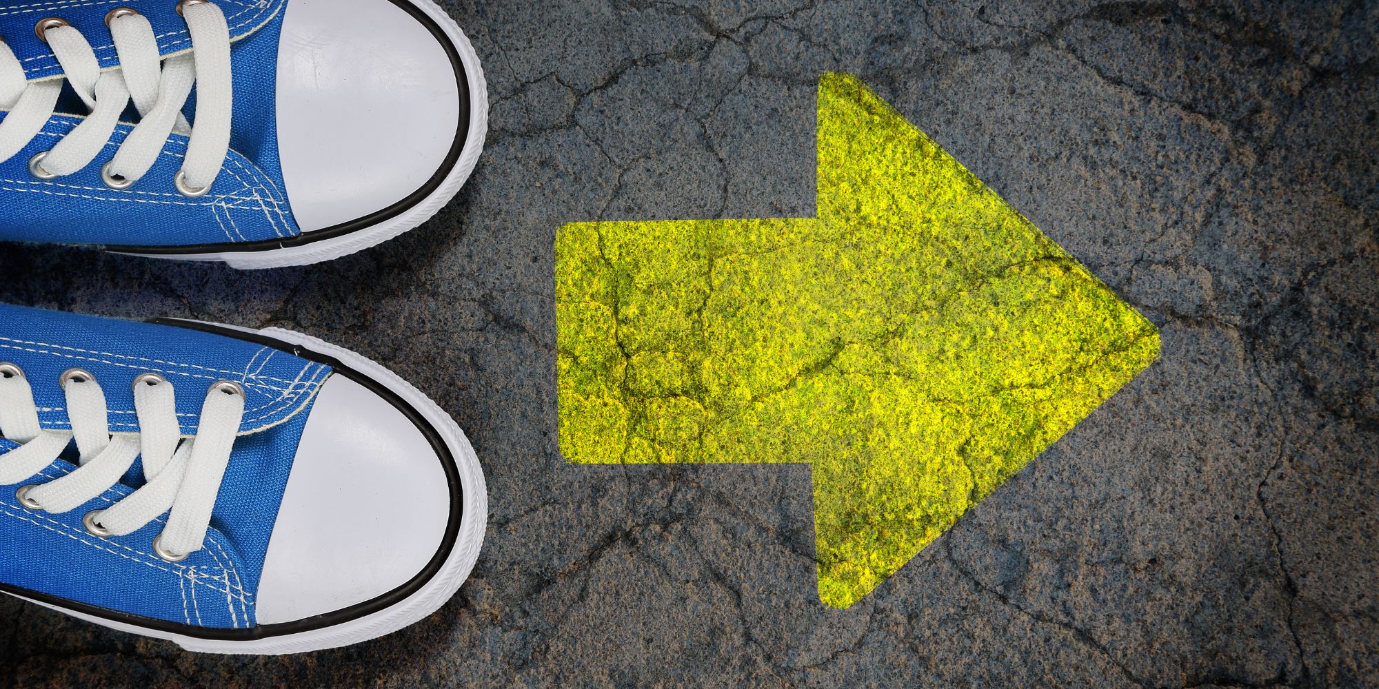 What We’re Watching – Understanding Risk and Reward