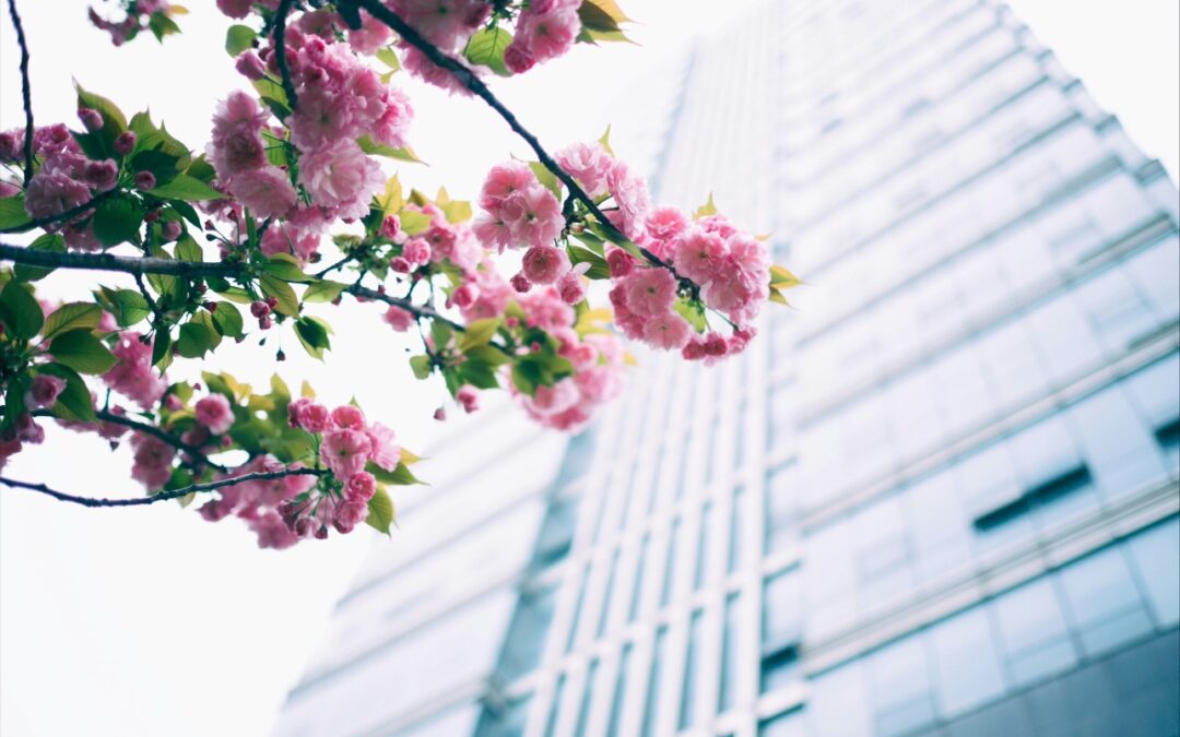 Spring Commercial Property Maintenance in Buffalo & the Northeast: How Proactive Property Management Protects Your Investment